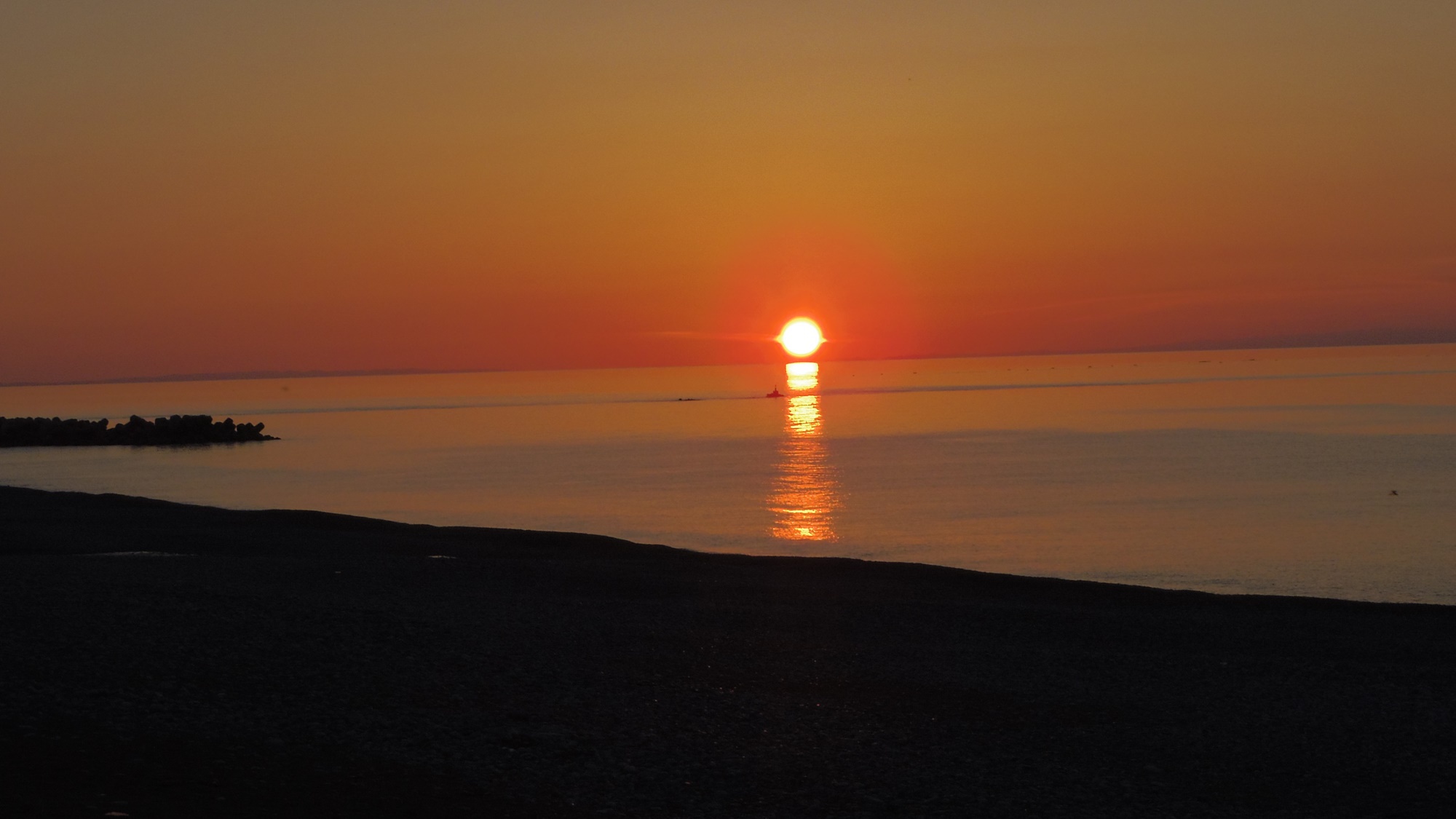 【夕食のみ】早朝出発or朝はのんびりな方におススメ☆新鮮な海の幸に舌鼓！