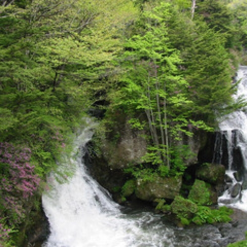 ＊竜頭ノ滝（6月）