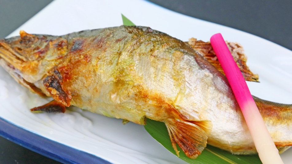 【50歳以上限定】ドリンク1杯サービス特典付◆山魚と季節のお料理を堪能　-2食付-