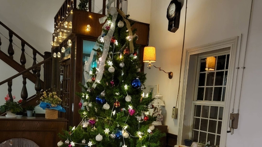 *クリスマス（イメージ）大きなクリスマスツリーが皆様をお出迎えいたします。