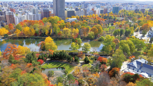 中島公園側眺望（パークビュー、紅葉）