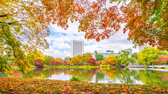【さっぽろ再発見】中島公園を眺めながらの寛ぎ時間☆パークビュー確約◆12:00アウト◆／朝食なし