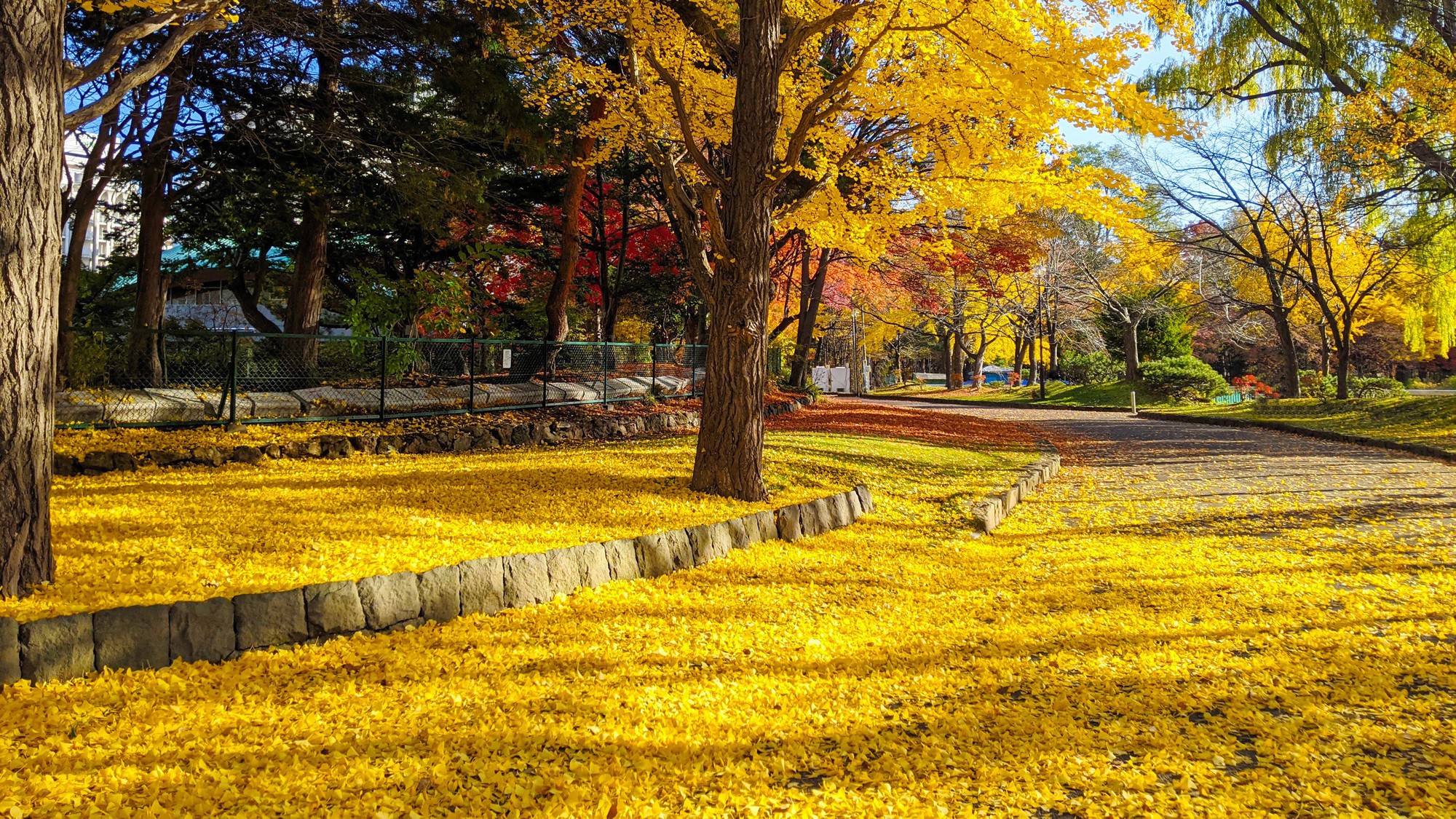 【周辺観光】秋の中島公園