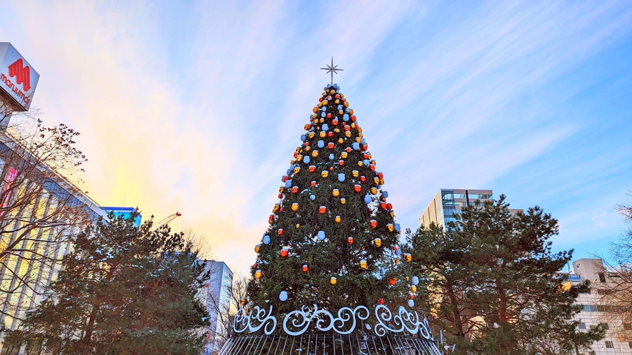【周辺観光】札幌大通公園　クリスマスイルミネーション