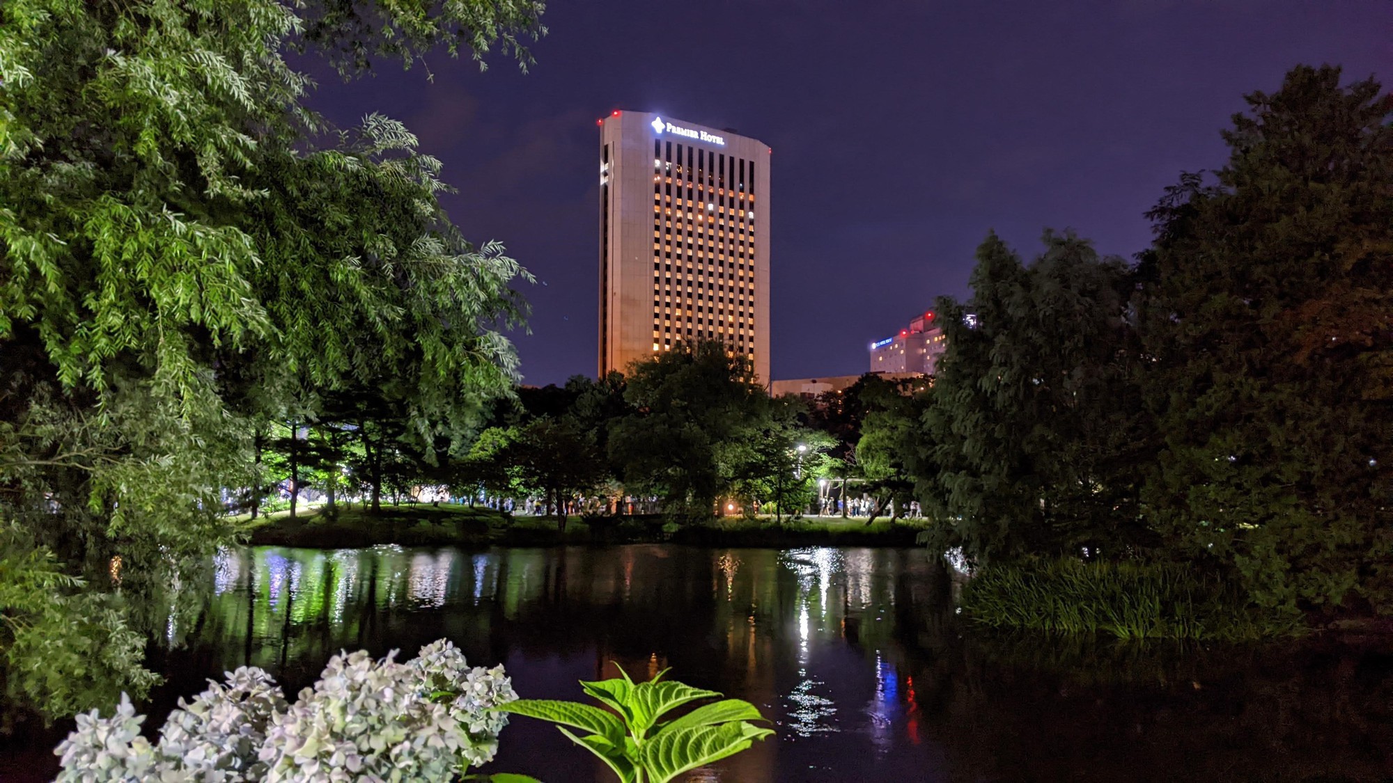 中島公園「菖蒲池」とホテル外観（夜景）