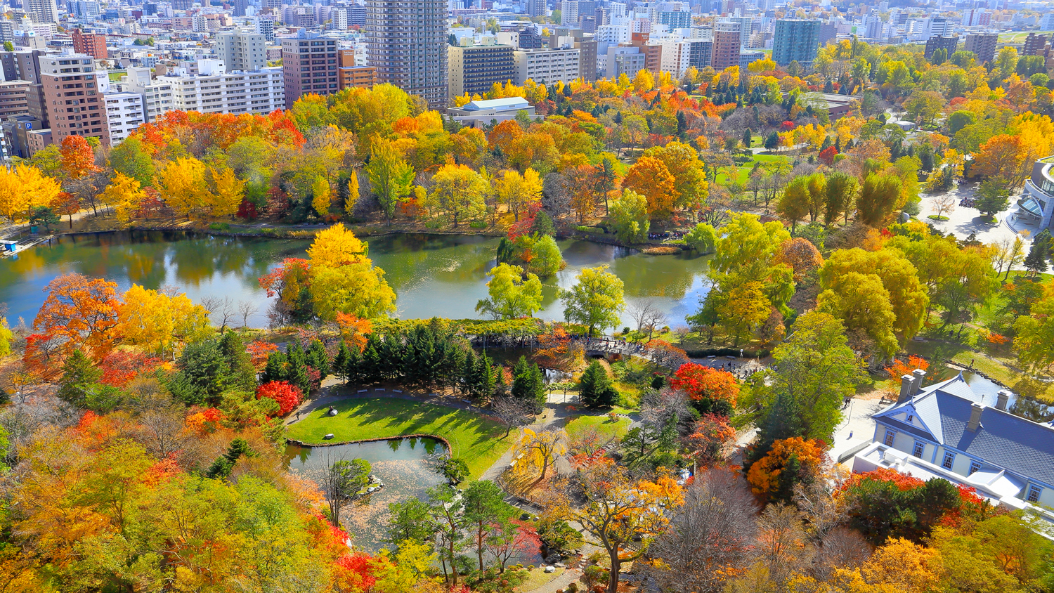 高層階公園側からの眺望【秋】