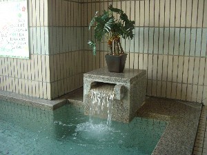 Large bath 2