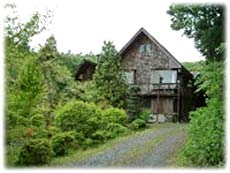 ペンション しいの木 設備 アメニティ 基本情報 楽天トラベル