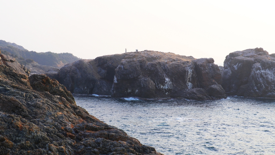 【周辺観光】-ウミネコの繁殖地　経島-