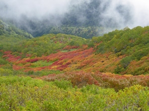 【平日道民限定】秋の層雲峡・紅葉＆味覚満喫プラン☆〜2食付〜