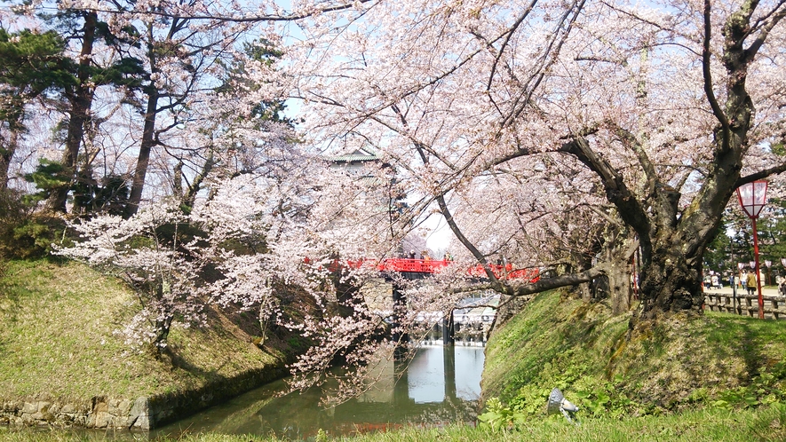 弘前桜祭り画像1