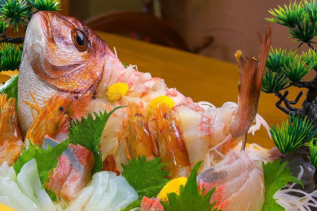 【記念日×1日1組限定】鯛の姿造り＆名物あなご会席で祝う特別プラン｜20畳和室でゆったり＜夕朝食付＞