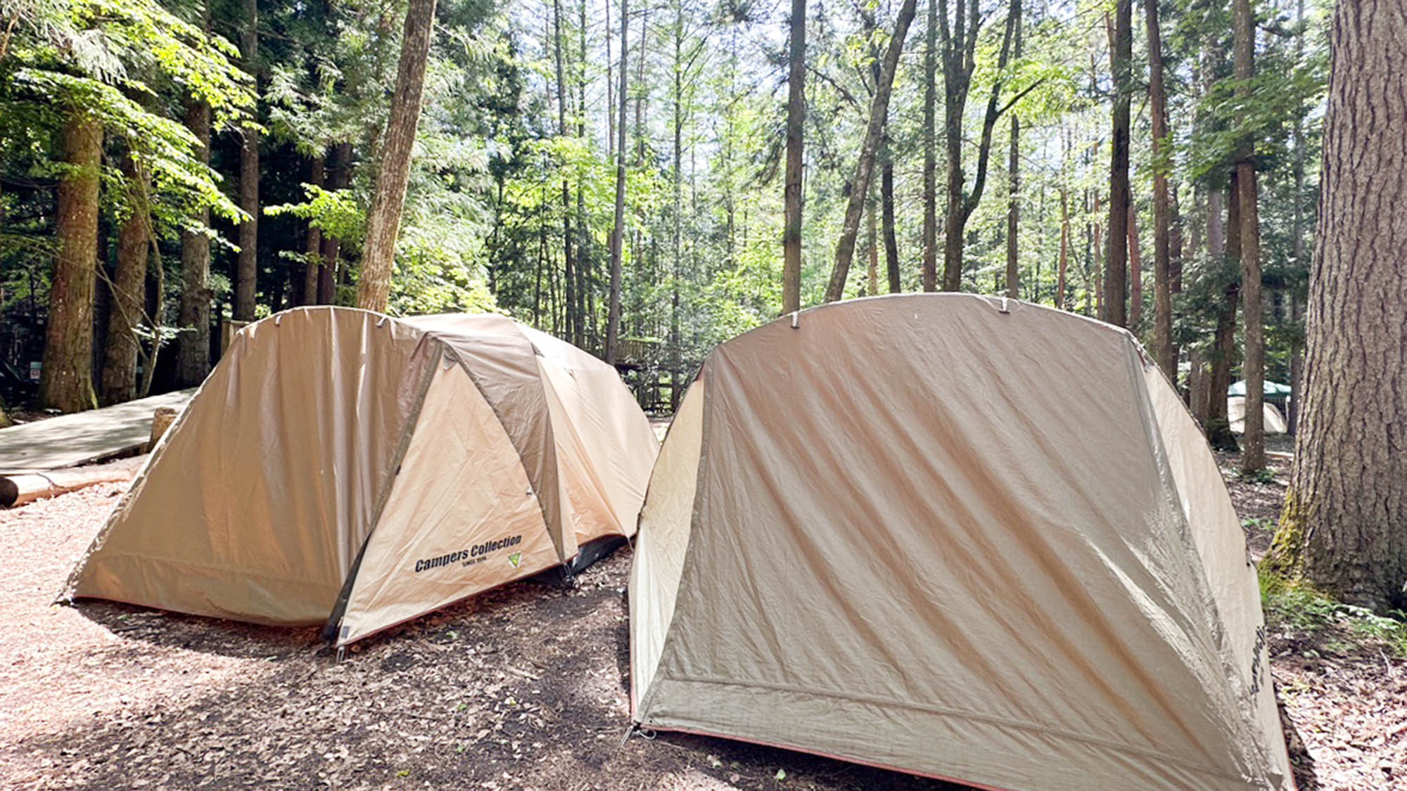 ・【手ぶらキャンプ】テントとタープが設営済なので、すぐにキャンプをお楽しみいただけます