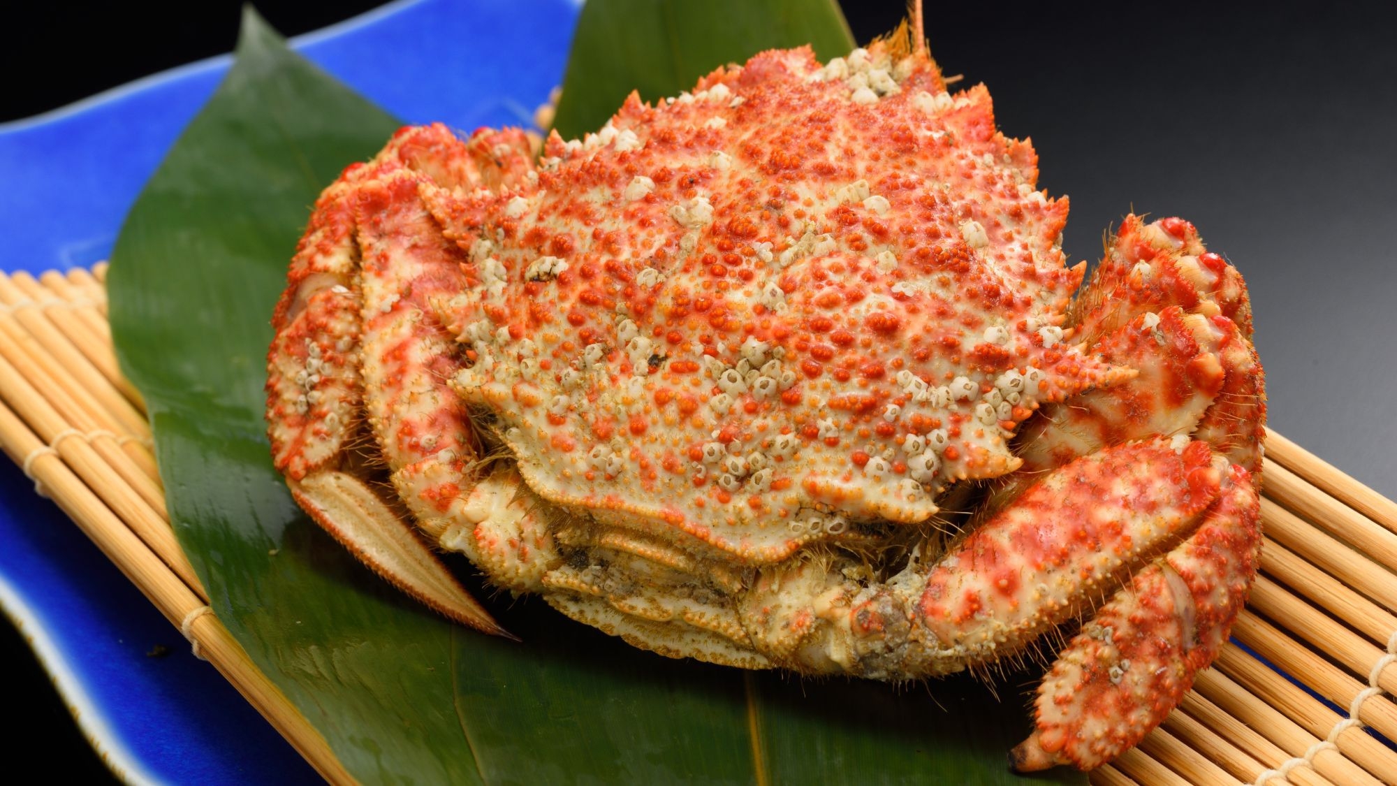 【旬のトゲクリガニ付き】 あおもり冬のごちそう旅★オリジナルビュッフェプラン〜オールインクルーシブ〜