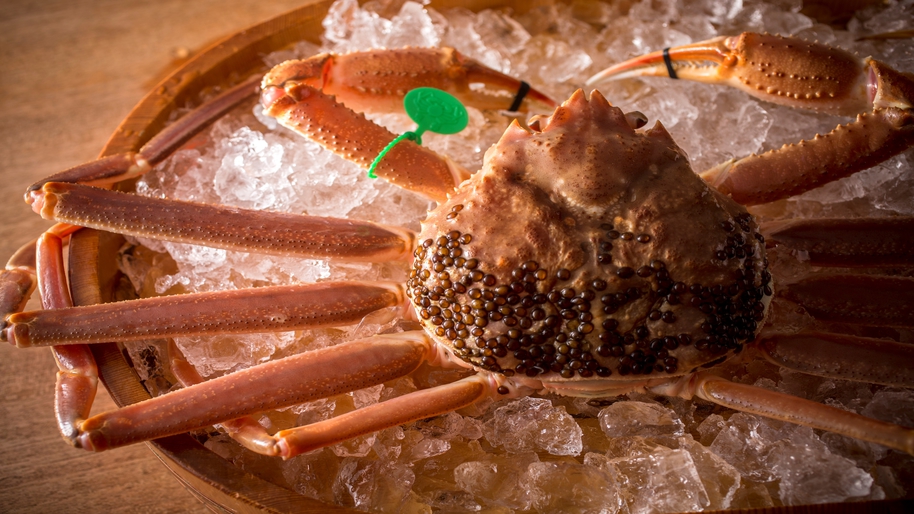 【幻の間人ガニ】厳選蟹食べ比べ「幻の間人蟹+北洋産ズワイガニ各1杯ずつ」を2人で食べ比べ