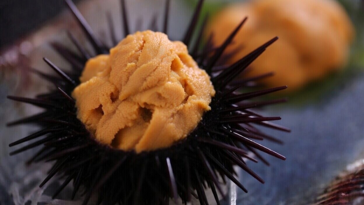 【初夏・5月〜6月】初夏の味覚◆上品で濃厚な甘みが広がる至福◆丹後産・黒雲丹（ムラサキウニ）を堪能