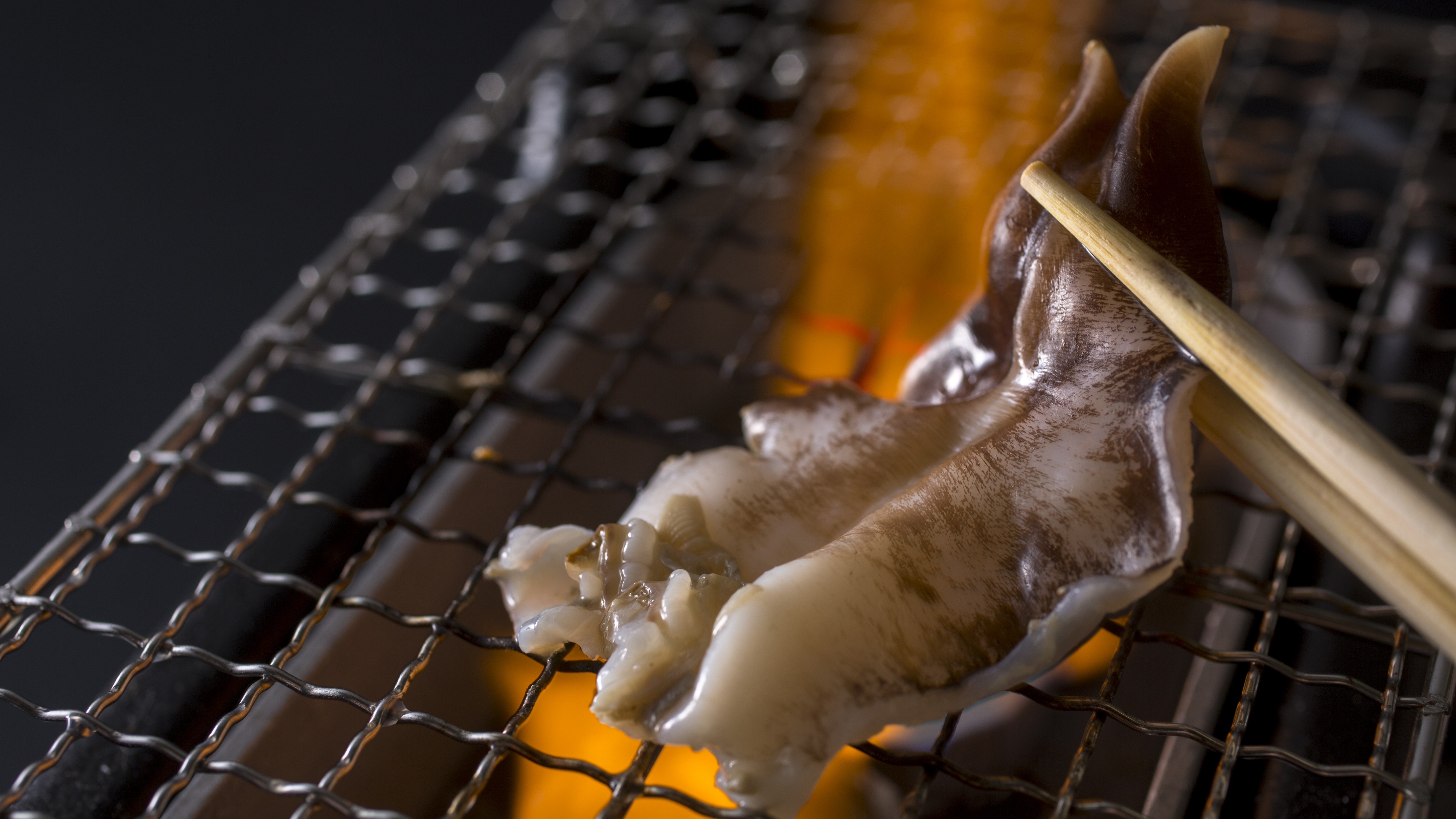 【丹後とり貝】初夏～夏にかけての味覚！日本一と称される肉厚な「丹後とり貝」を目の前で炙って食す！