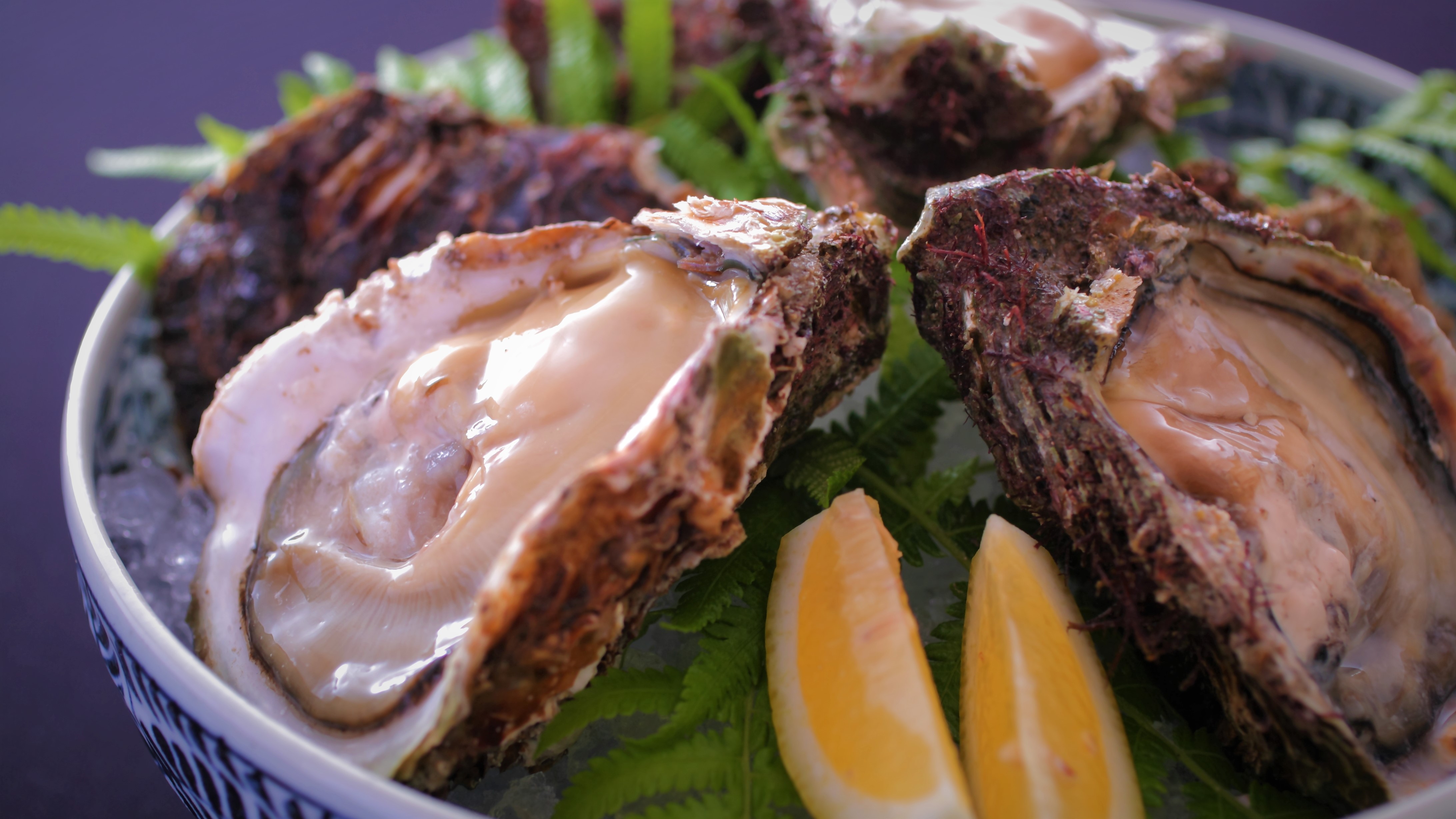 【夏の味覚の王様】「海のミルク」と称される大粒でプリプリな岩牡蠣は濃厚な甘さと旨味です。