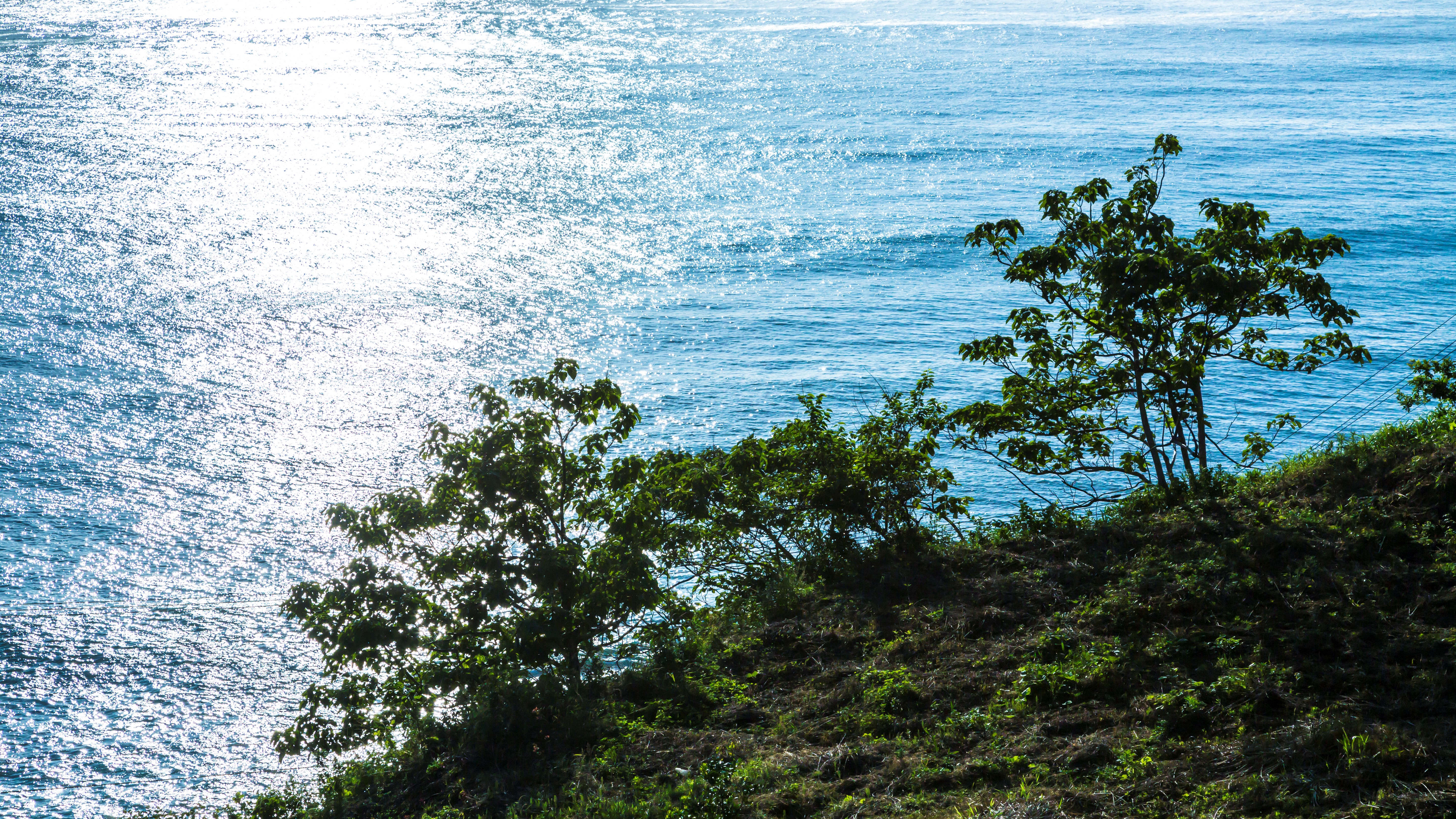 【当館下からの景色】キラキラと輝く日本海の絶景です。