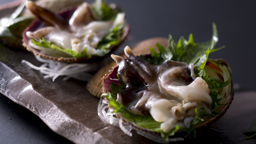 【丹後とり貝】初夏～夏にかけての味覚！日本一と称される肉厚な「丹後とり貝」の旨味をお造りで贅沢に堪能