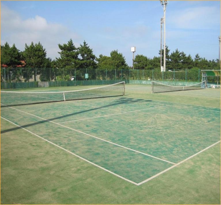 特典★テニスコート貸し切り＆チェックアウト後のお風呂無料！＜２食付き＞プラン