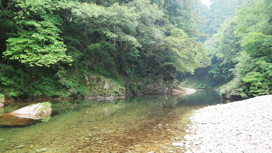 【季節限定】鮎会席◆三段峡の天然鮎をまるごと楽しむ＆地元食材を使った会席料理♪三段峡徒歩スグ