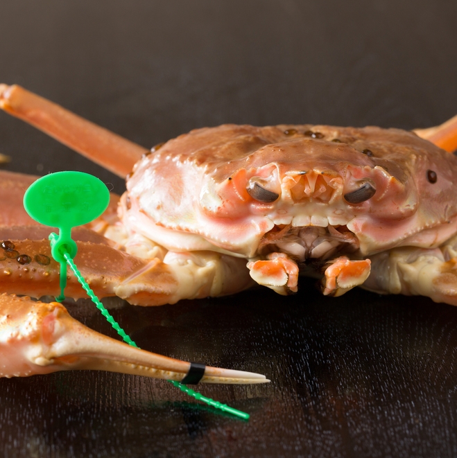 【冬P】憧れのタグ付松葉ガニ♪　直前まで生きていた活松葉ガニを贅沢に★頑張った自分へのご褒美旅行♪