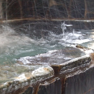 【冬P】憧れのタグ付松葉ガニ♪　直前まで生きていた活松葉ガニを贅沢に★頑張った自分へのご褒美旅行♪