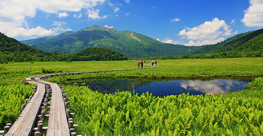 戦場ヶ原