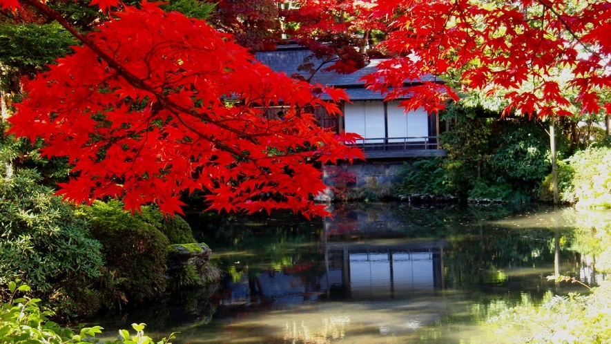 逍遥園