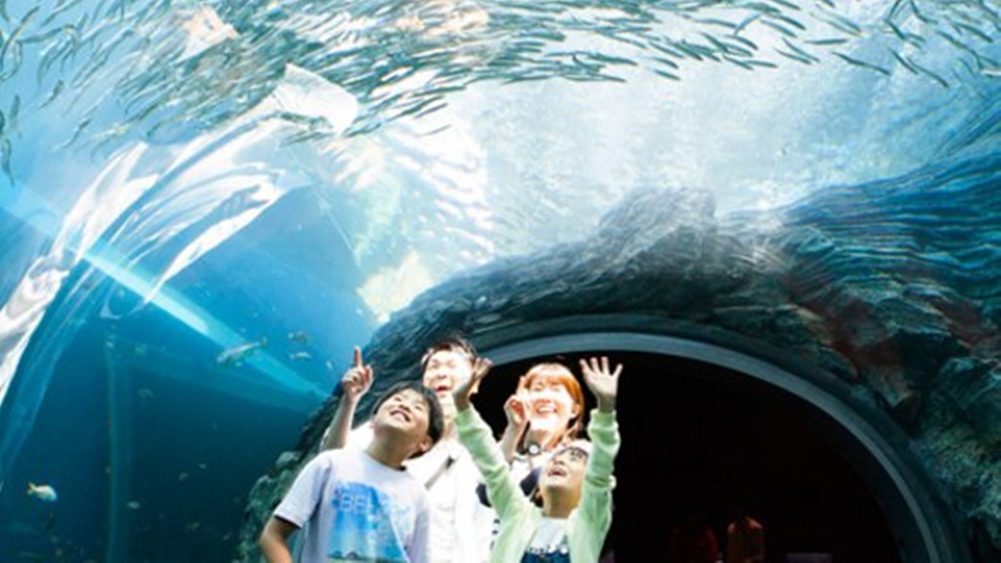 *上越市立水族博物館「うみがたり」/当館から車で約25分の、大人も子供も楽しめる水族館！