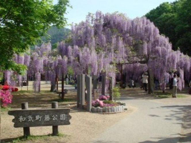 藤公園