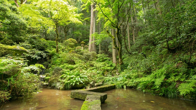 【朝日帰り】いつかユモトカンで朝食を…【部屋なし】温泉旅館の朝ごはん付き朝風呂プラン