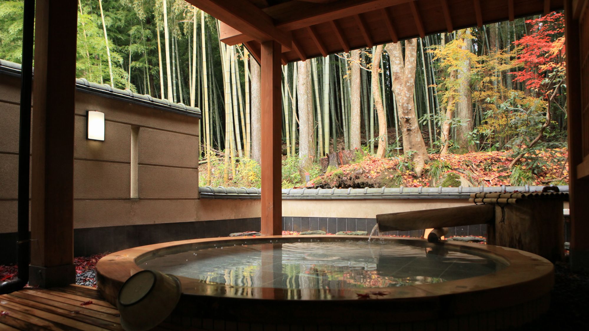 【直前割●現金支払いのみ】急に温泉に入りたい！美味少量ひかえめ会席直前割プラン【朝夕食付】