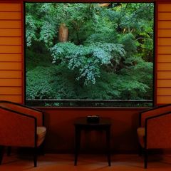 6月。雨が降った後によりいっそう濃くなる緑の深さ