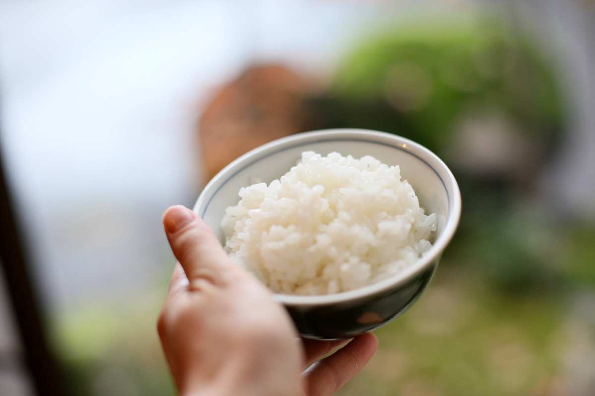 白いご飯が大好き！