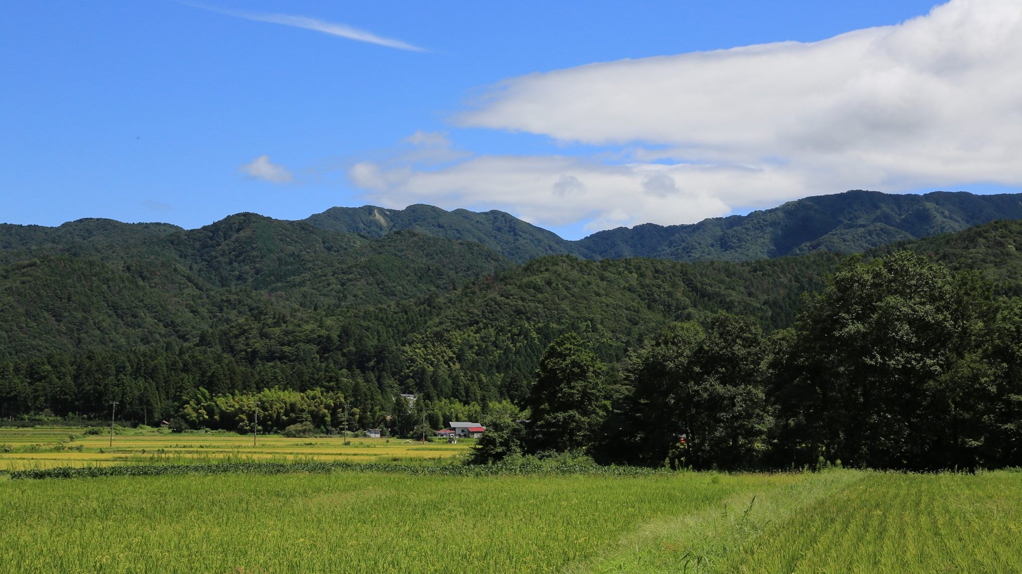 五頭山と里山の風景（初夏）