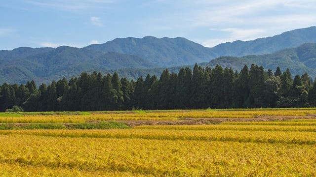 五頭山と里山の風景（秋）