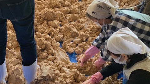 味噌作り2025（みんなで混ぜる）