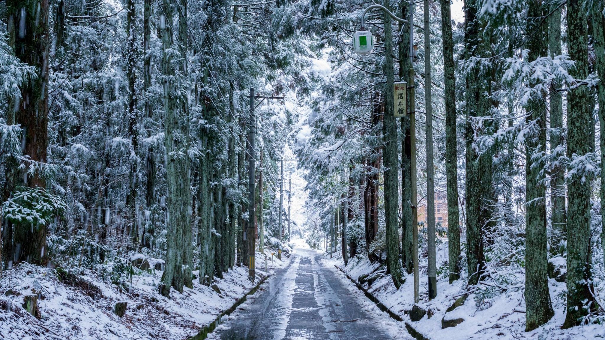 雪の坂道（ちゃんと除雪来てくれるのでご安心を）
