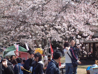 09桜の里祭り