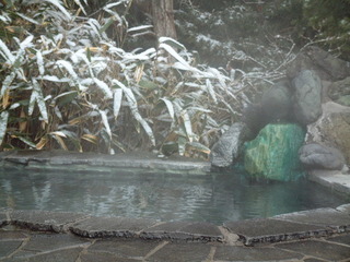 雪の竹林露天