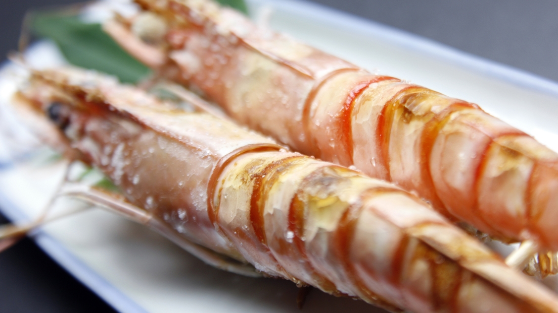 【天草大王◆スタンダード】天草を食べる！名物地鶏の鳥刺し＆鮮度抜群！鯛の板盛り★〈部屋食〉