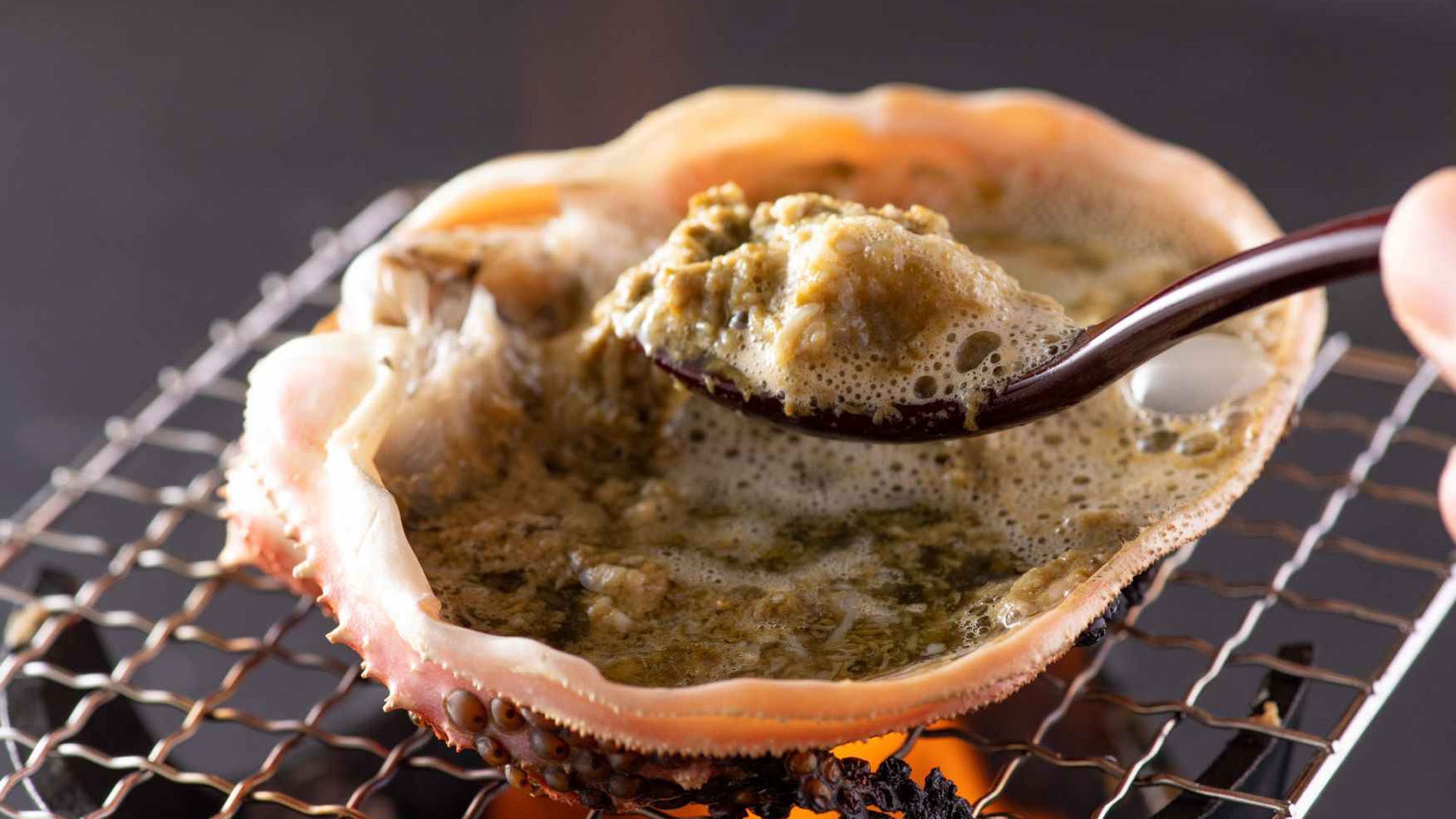 【青々吉日】【タグ付き活越前ガニコース】冬の味覚★活カニ1杯をあらゆる調理法で大満喫！【一泊二食】