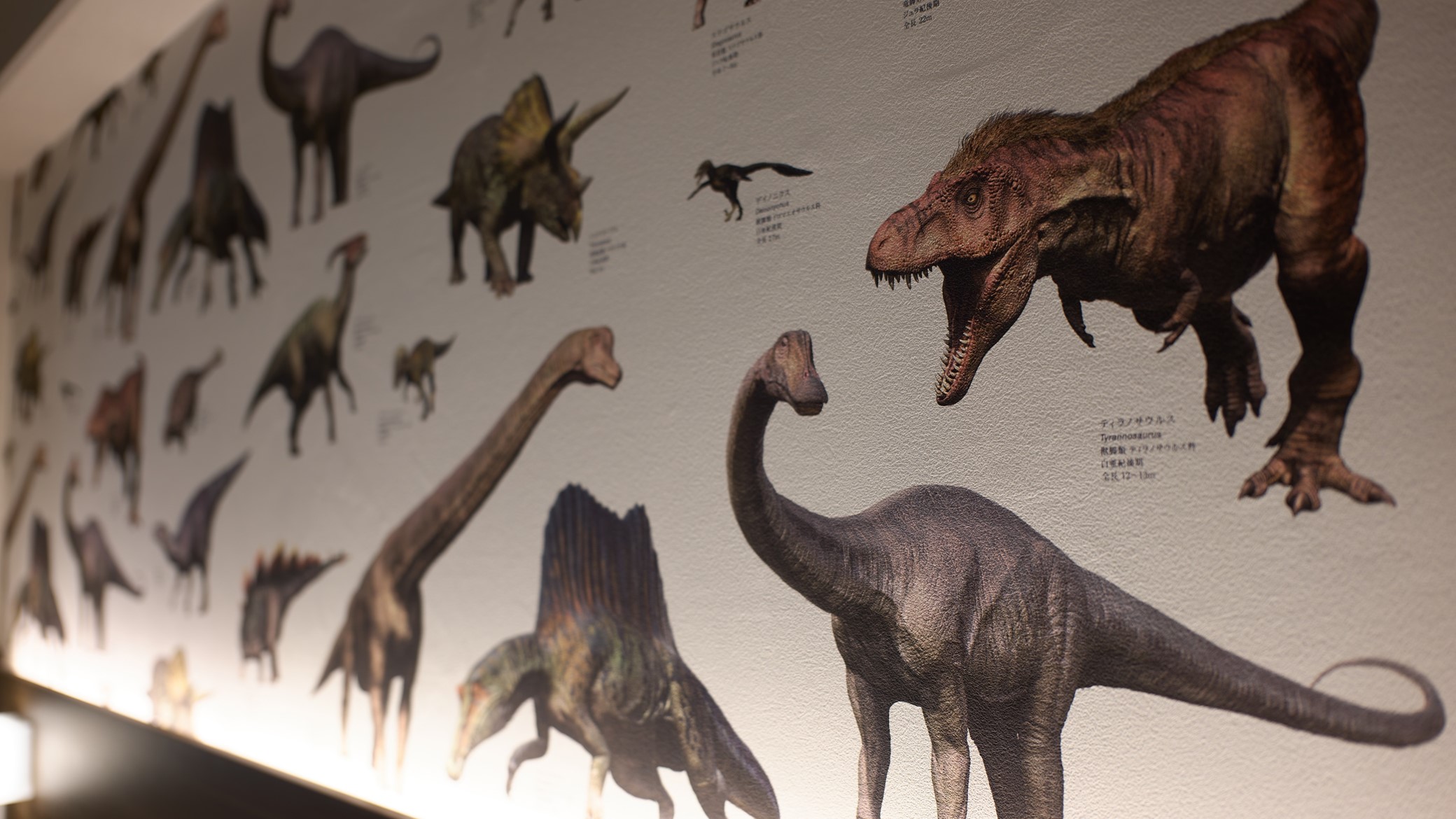 24年12月リニューアル！【翠楓4ベッド】