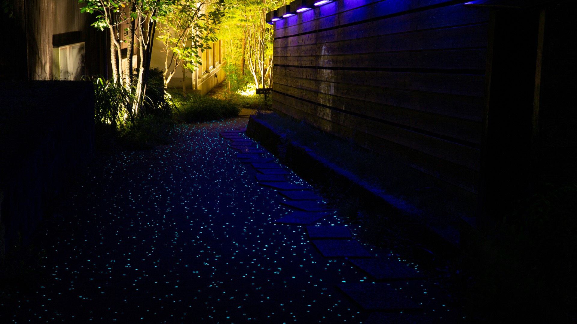 スロープの蓄光石1