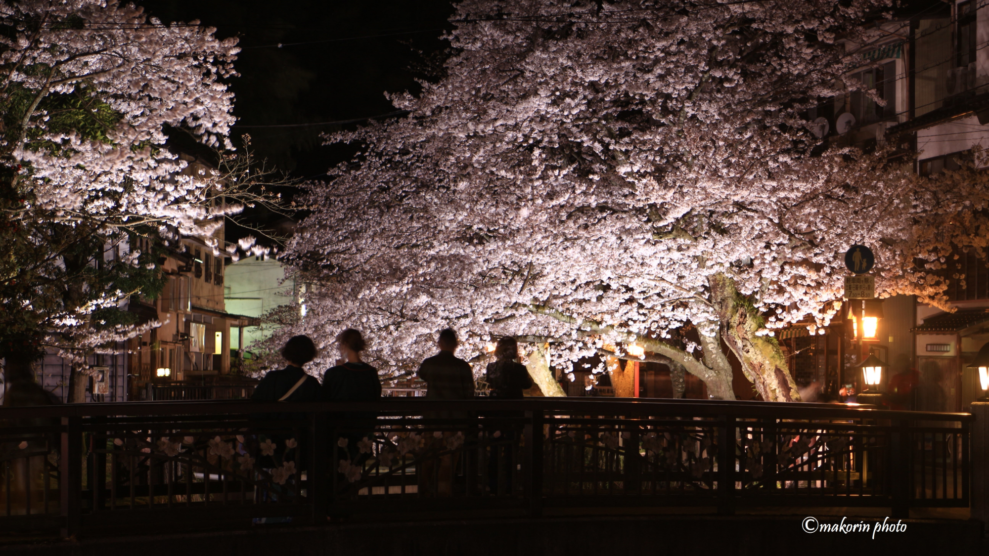 城崎温泉の夜桜