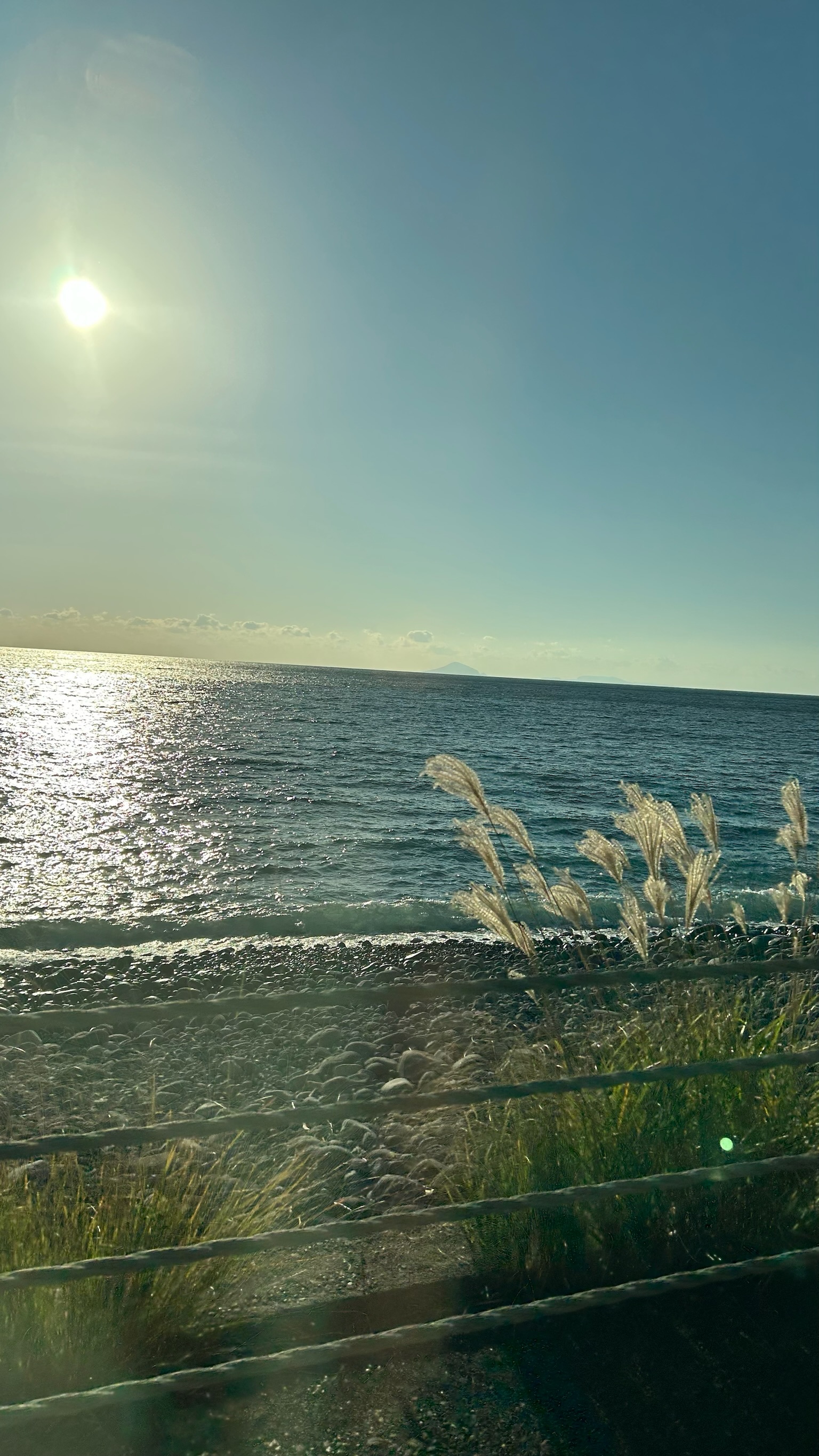 東伊豆海岸線