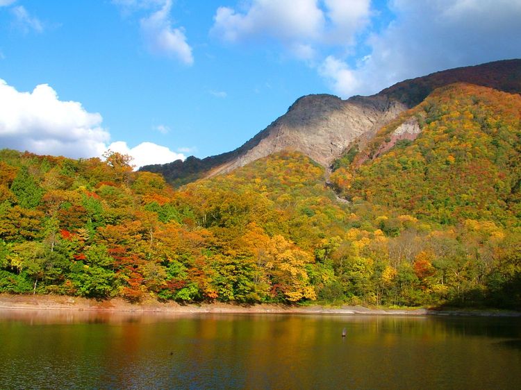 【大自然まるごと満喫】世界自然遺産白神山地★十二湖トレッキング（お気軽コース／約2ｈ）プラン