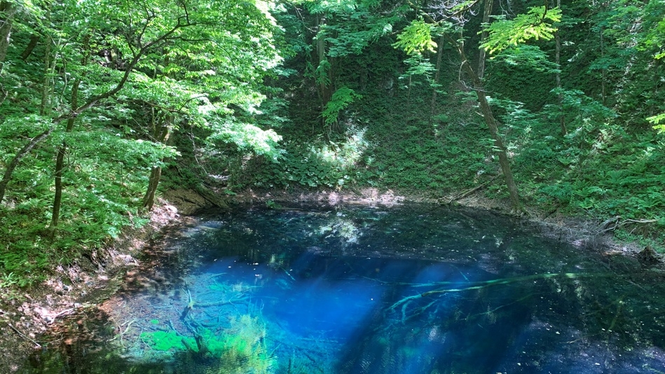 「アオーネ白神十二湖」へようこそ！一番人気のスタンダードプラン